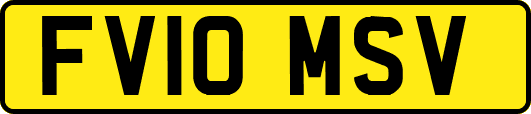 FV10MSV