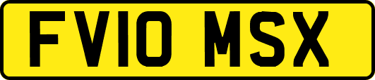FV10MSX