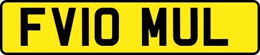 FV10MUL