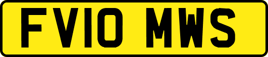 FV10MWS