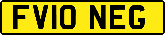 FV10NEG