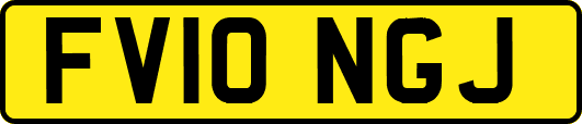 FV10NGJ
