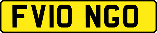 FV10NGO