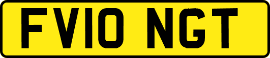 FV10NGT