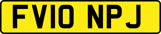 FV10NPJ
