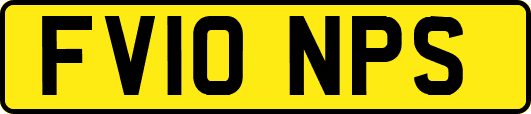 FV10NPS