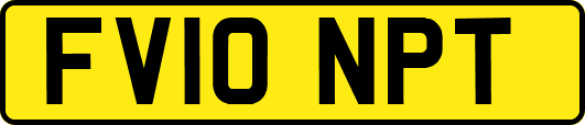 FV10NPT