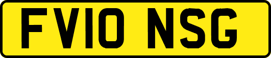 FV10NSG