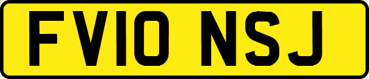 FV10NSJ