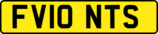 FV10NTS