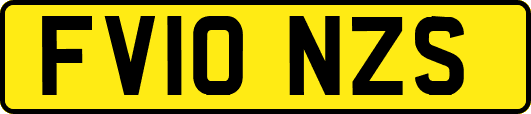 FV10NZS