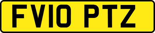 FV10PTZ
