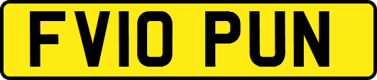 FV10PUN