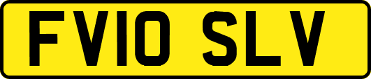 FV10SLV