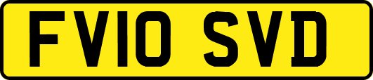 FV10SVD