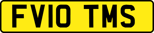FV10TMS