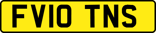 FV10TNS
