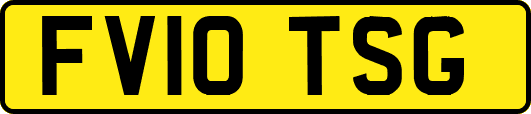 FV10TSG