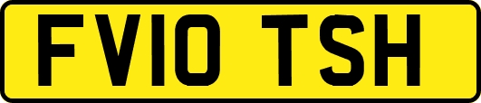 FV10TSH