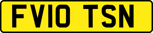 FV10TSN