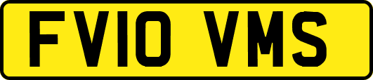 FV10VMS