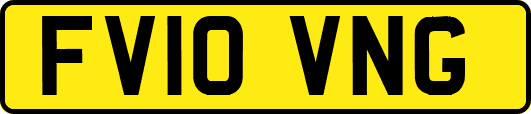 FV10VNG
