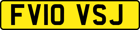 FV10VSJ