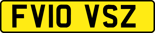 FV10VSZ
