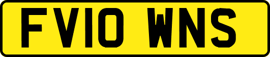 FV10WNS