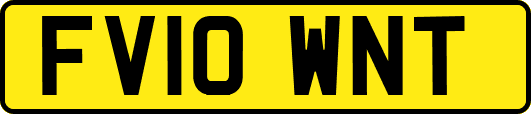 FV10WNT