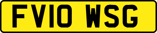 FV10WSG