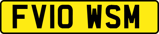 FV10WSM