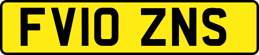 FV10ZNS