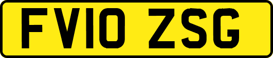 FV10ZSG
