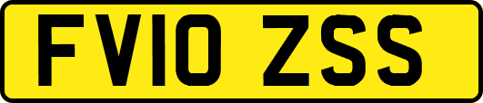 FV10ZSS