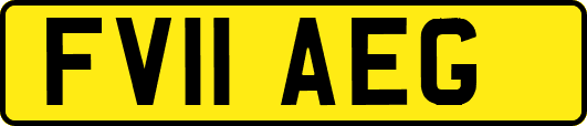 FV11AEG