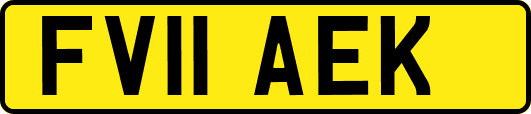 FV11AEK