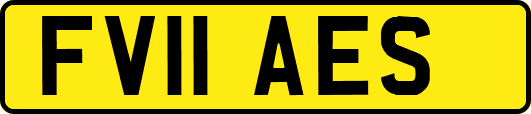 FV11AES