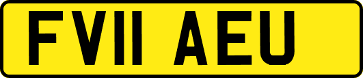 FV11AEU