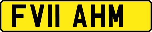 FV11AHM