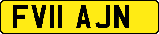 FV11AJN