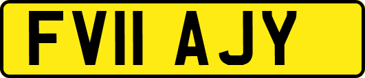 FV11AJY