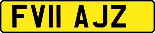 FV11AJZ