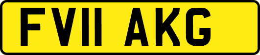 FV11AKG