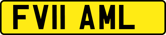 FV11AML