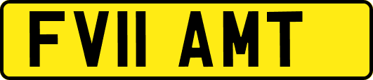 FV11AMT