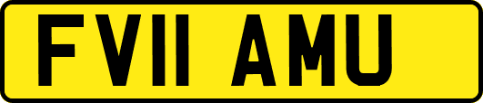 FV11AMU