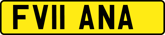 FV11ANA