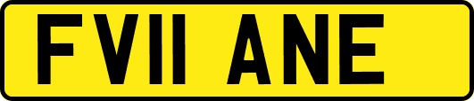 FV11ANE