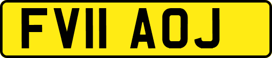 FV11AOJ